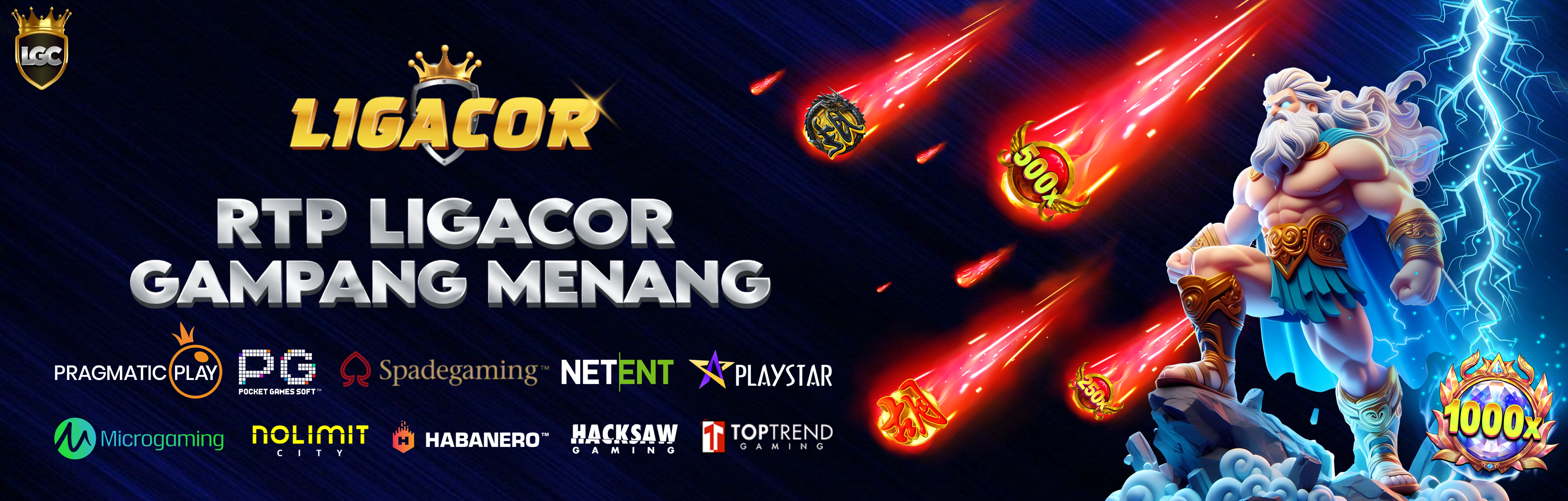 BANNER LIGACOR